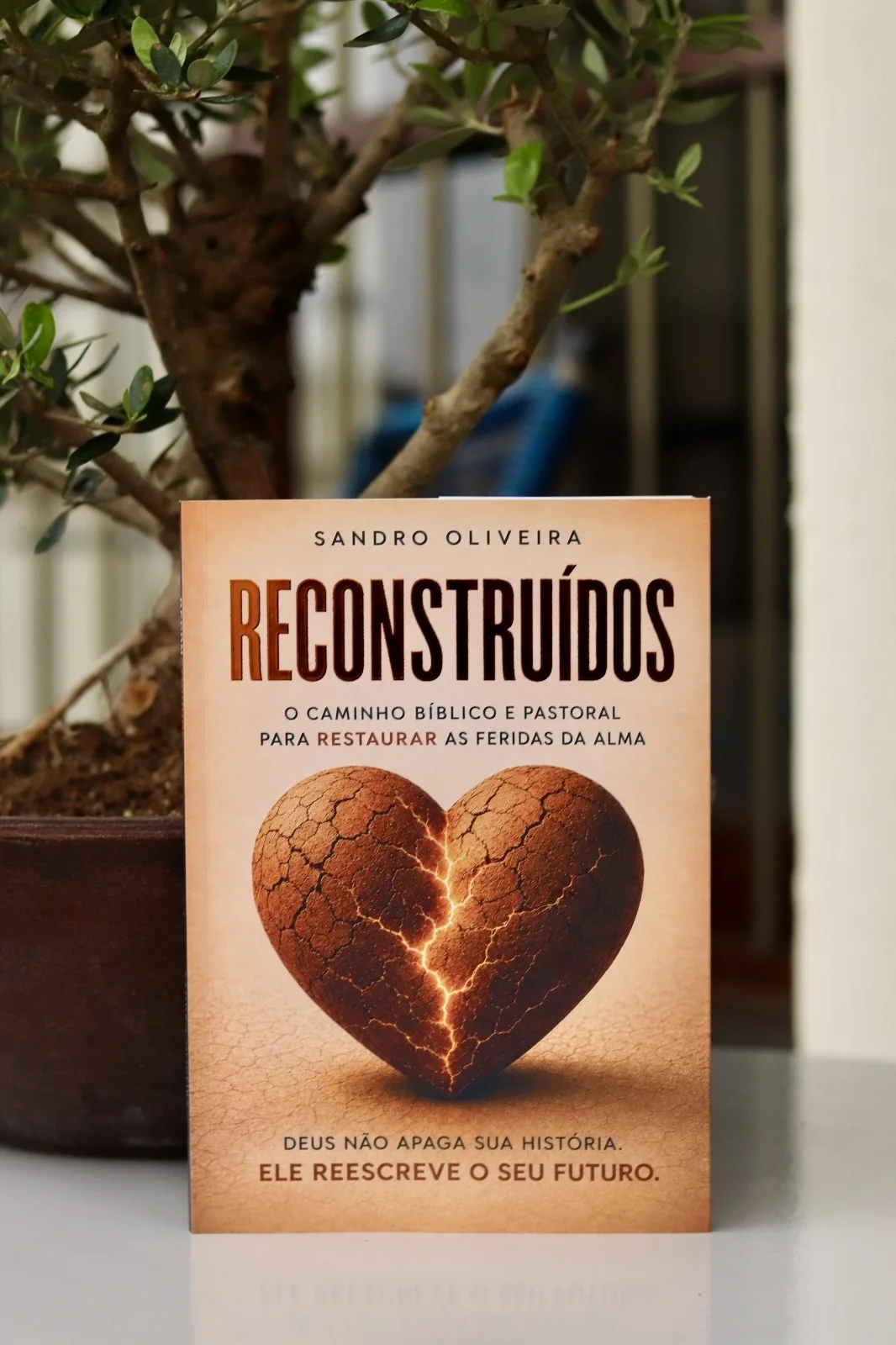 Capa do livro Reconstruídos