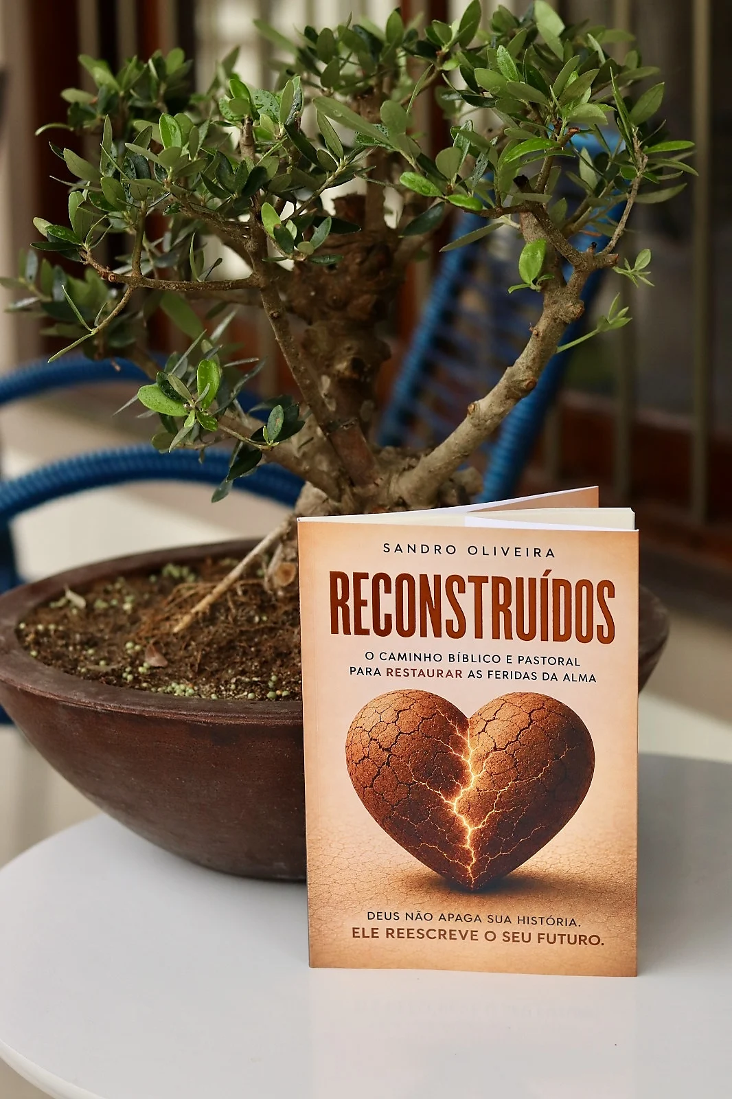 Capa de Reconstruídos (retrato)